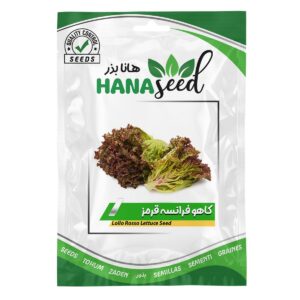 بذر کاهو فر فرانسوی قرمز هانا بذر