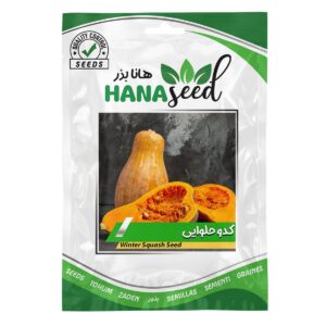 بذر کدو حلوایی هانا بذر