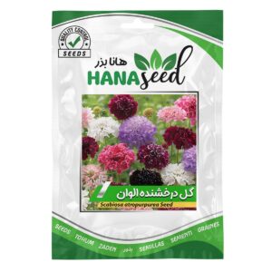 بذر گل درخشنده الوان هانا بذر