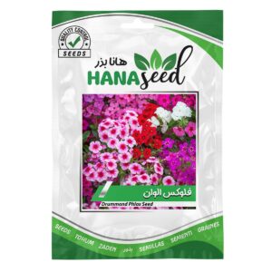 بذر گل فلوکس الوان هانا بذر