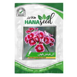 بذر گل قرنفل الوان هانا بذر