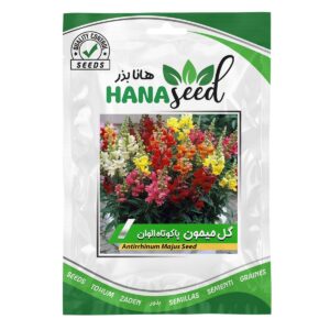 بذر گل میمون پاکوتاه الوان هانا بذر