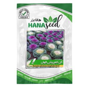 بذر گل کلم زینتی الوان هانا بذر