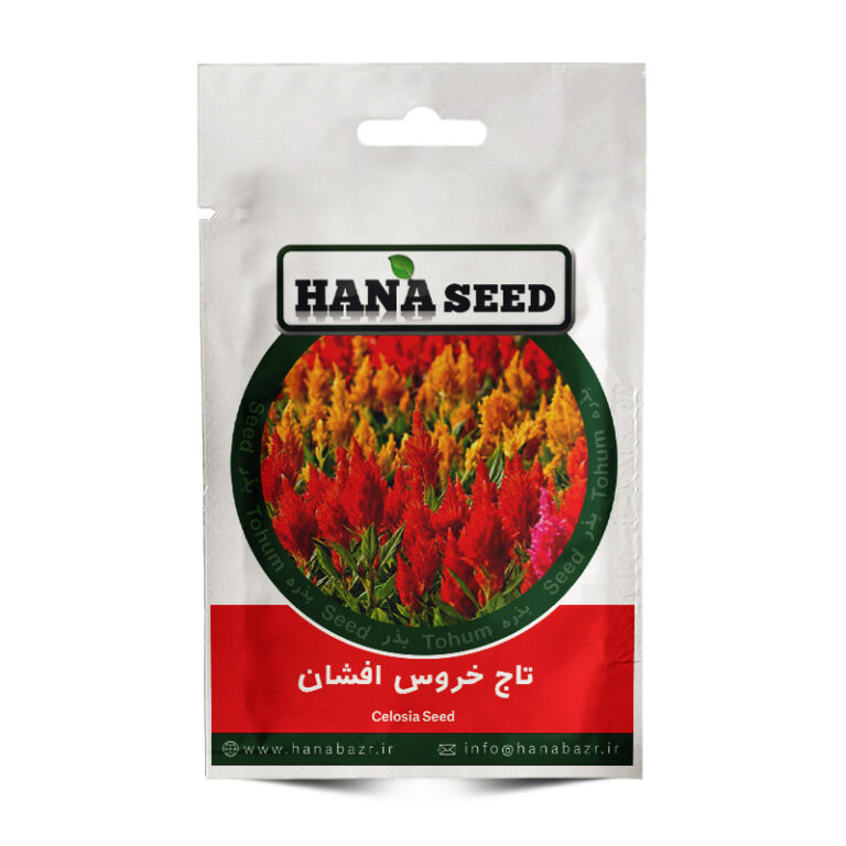 بذر تاج خروس افشان