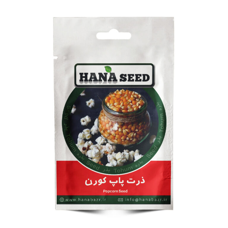 بذر ذرت پاپ کورن