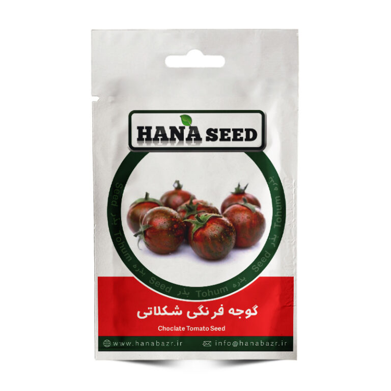 بذر گوجه فرنگی شکلاتی