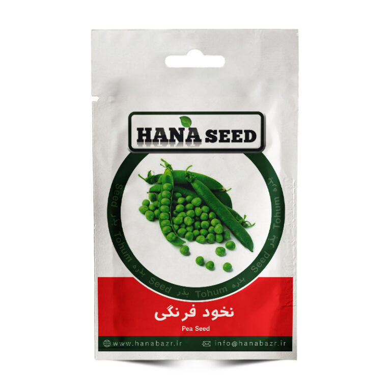 بذر نخود فرنگی
