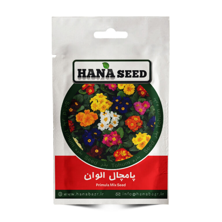 بذر گل پامچال الوان
