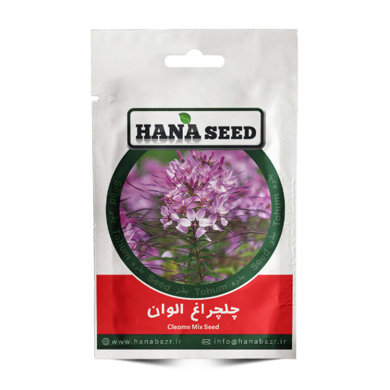 بذر گل چلچراغ الوان