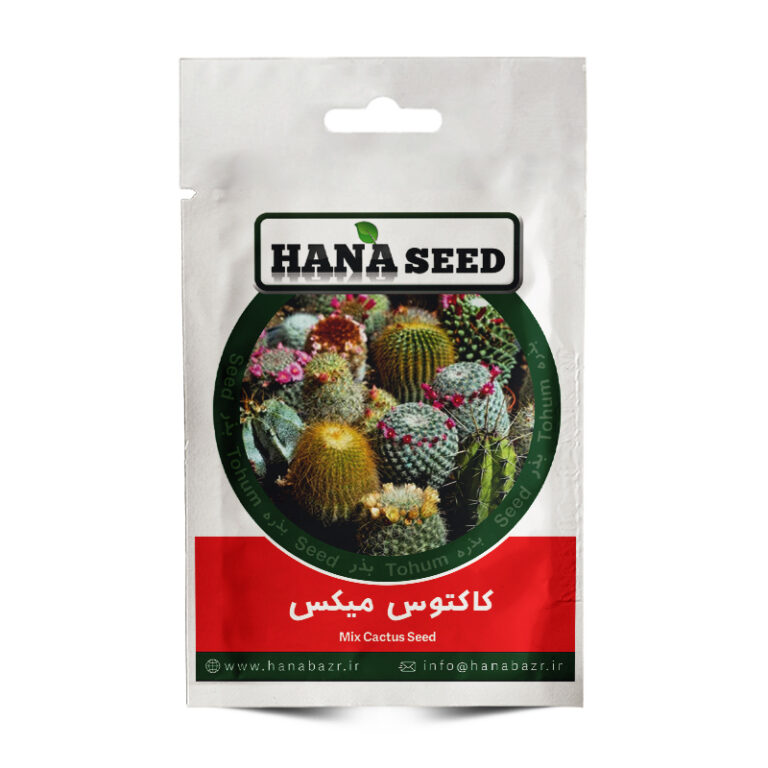 بذر کاکتوس میکس