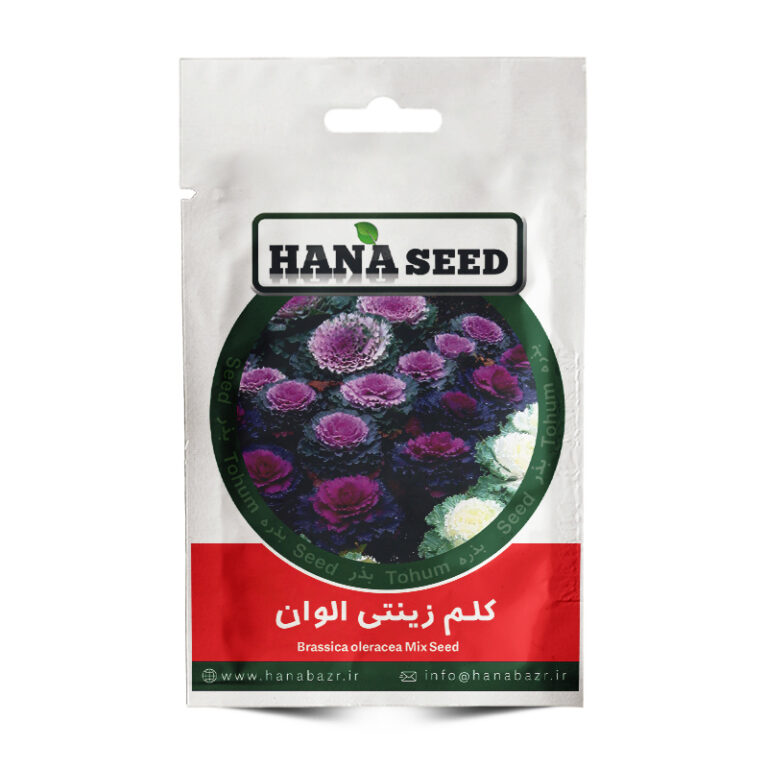 بذر گل کلم زینتی الوان