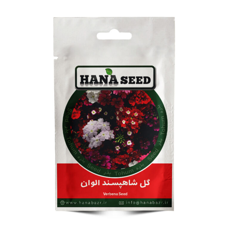 بذر گل شاهپسند الوان