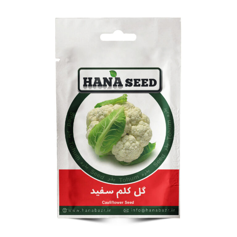 بذر گل کلم سفید
