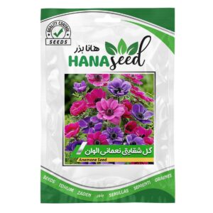 بذر گل شقایق نعمانی الوان