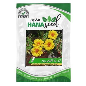 بذر گل ناز آفتابی زرد