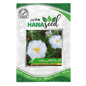 بذر گل ناز آفتابی سفید