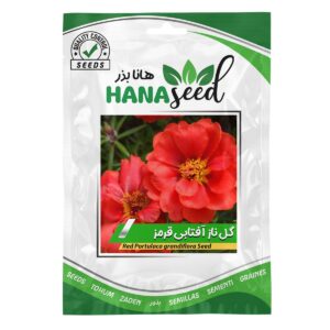 بذر گل ناز آفتابی قرمز
