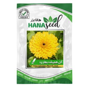 بذر گل همیشه بهار زرد هانا بذر