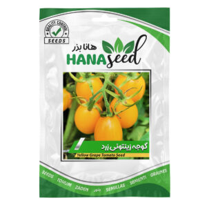 بذر گوجه زیتونی زرد هانا بذر