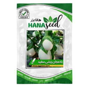 بذر بادمجان سفید تخم مرغی هانا بذر