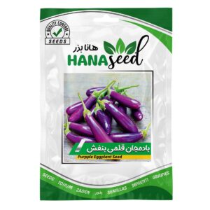 بذر بادمجان قلمی بنفش هانا بذر