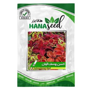 بذر گل حسن یوسف الوان هانا بذر