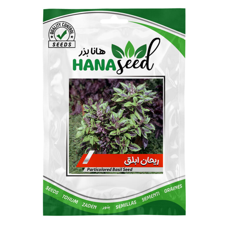 بذر ریحان ابلق