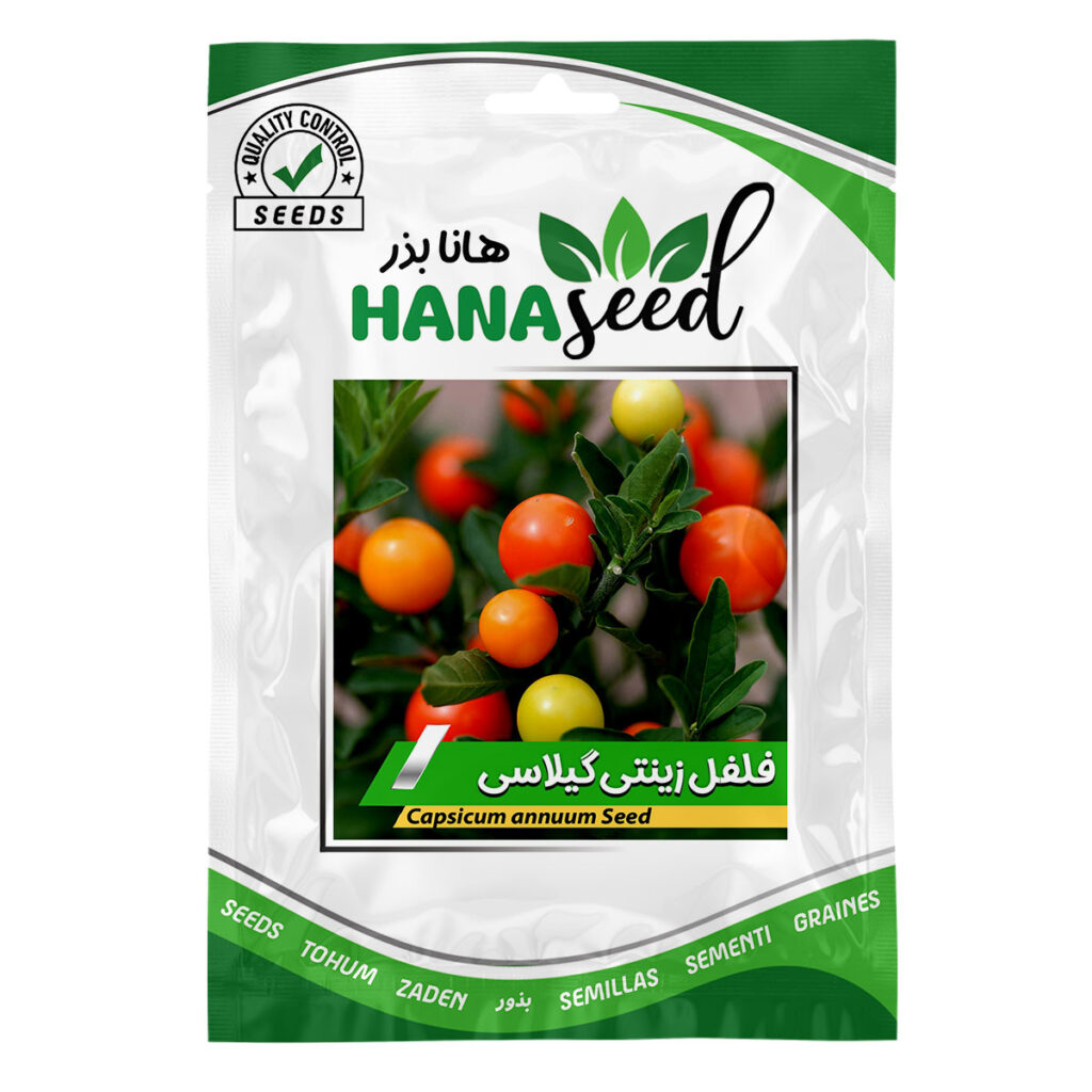 بذر فلفل زینتی