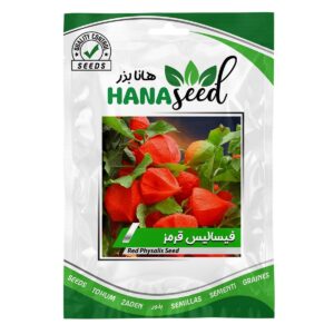بذر فیسالیس قرمز هانا بذر