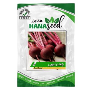 بذر چغندر لبویی هانا بذر