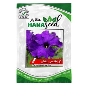 بذر گل اطلسی بنفش هانا بذر