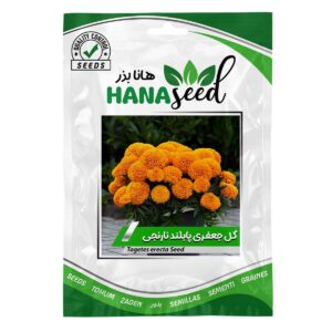 بذر گل جعفری مینیاتوری نارنجی هانا بذر