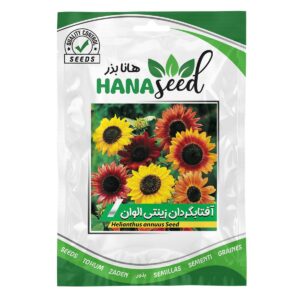 بذر آفتابگردان-زینتی