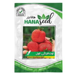 بذر توت فرنگی غول هانا بذر