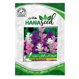 بذر مریم-گلی-الوان