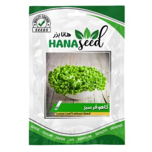 بذر کاهو فر فرانسوی سبز هانا بذر