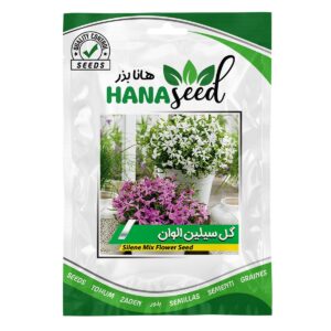 بذر گل-سیلین-الوان