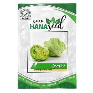 بذر کاهو پیچ اورست هانا بذر