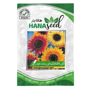 بذر گل آفتابگردان الوان هانا بذر