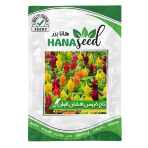 بذر گل تاج خروس افشان هانا بذر