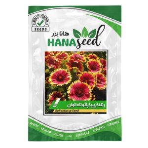 بذر گل رعنا زیبا الوان هانا بذر