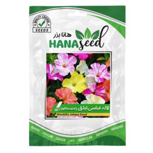 بذر گل لاله عباسی ابلق الوان هانا بذر