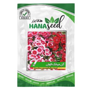 بذر گل میخک الوان هانا بذر