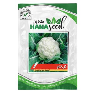 بذر گل کلم سفید هانا بذر