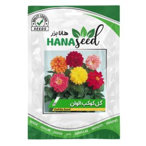 بذر گل کوکب الوان هانا بذر
