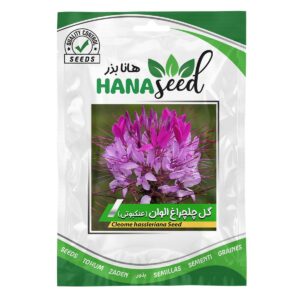 بذر گل چلچراغ الوان هانا بذر