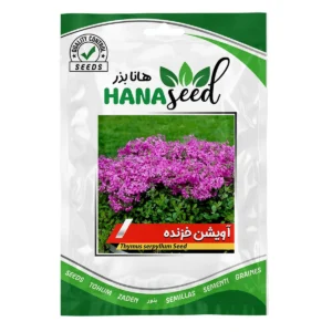بذر آویشن خزنده