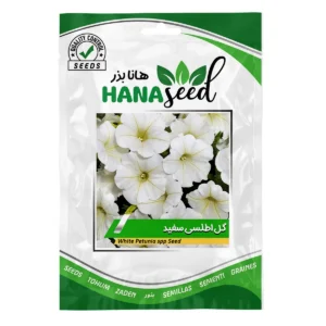 بذر گل اطلسی سفید