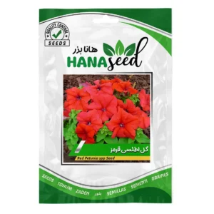 بذر گل اطلسی قرمز