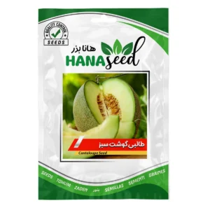 بذر طالبی گوشت سبز
